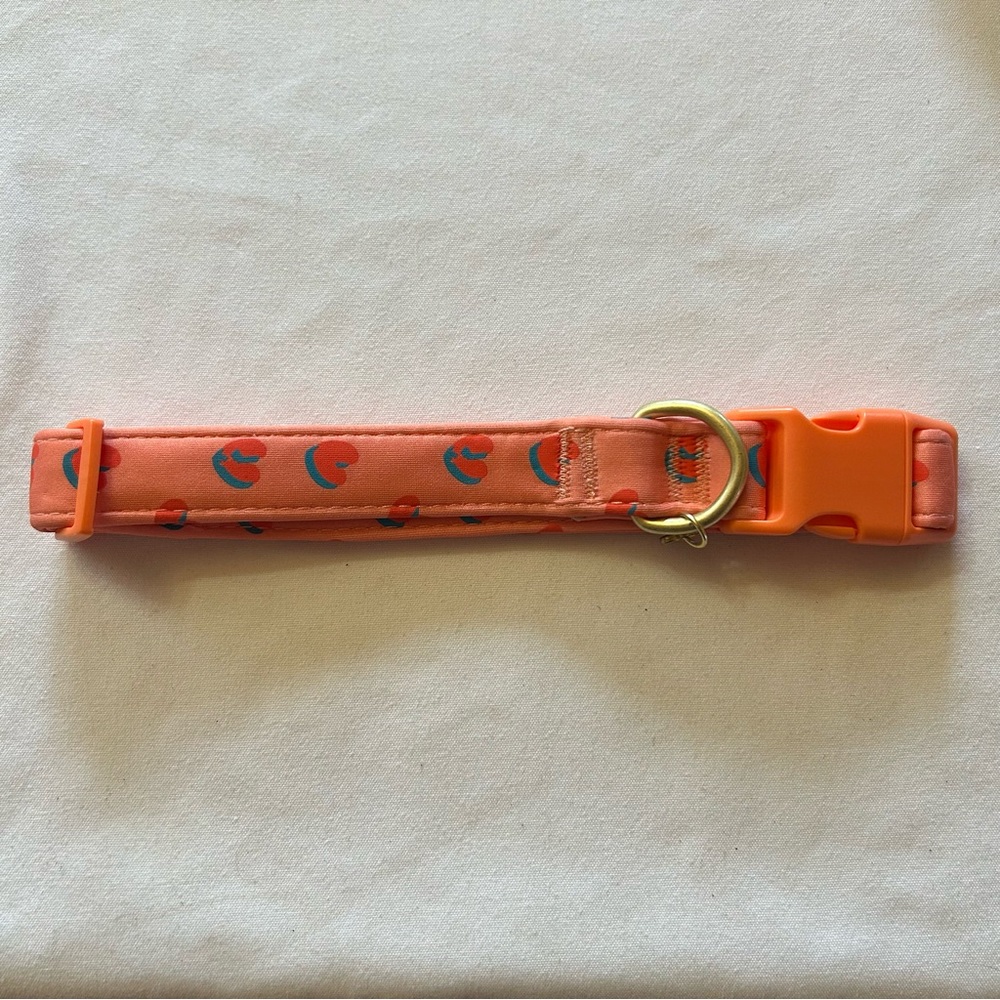 Gorgeous Vibrant Dog Collar